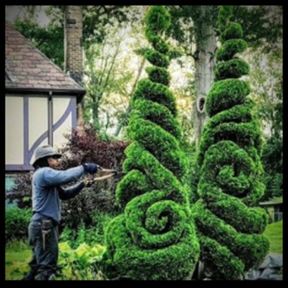 Hedge Art