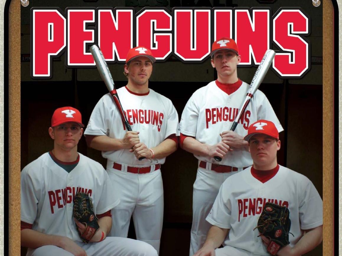 YSU Sports academics.ysu.edu