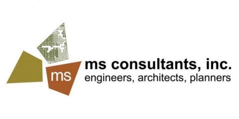 ms consultants